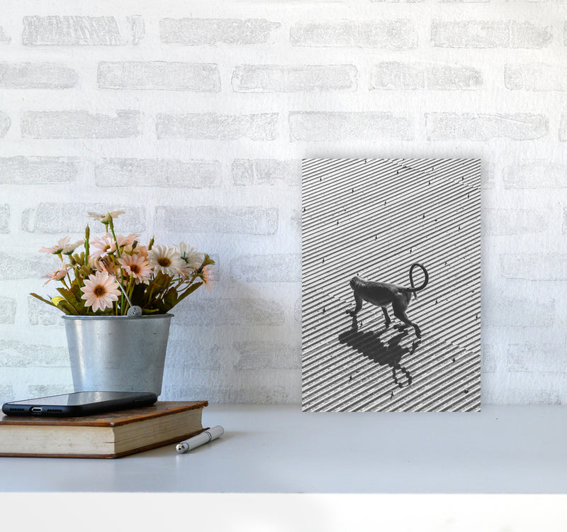 Monkey Buisness Photography Print by Victoria Frost A4 Black Frame
