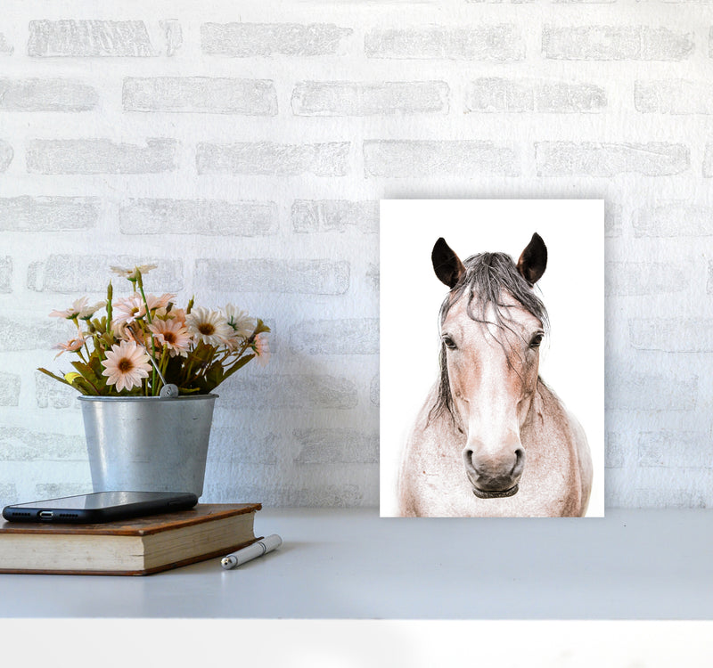 Horse Photography Print by Victoria Frost A4 Black Frame
