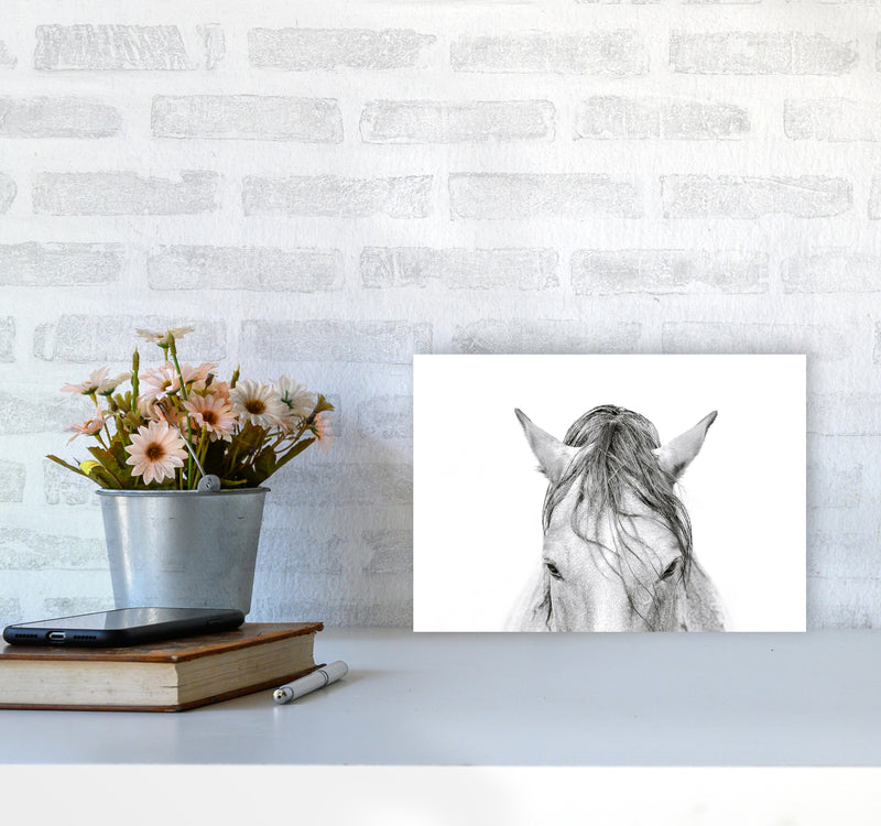 Horse II Photography Print by Victoria Frost A4 Black Frame
