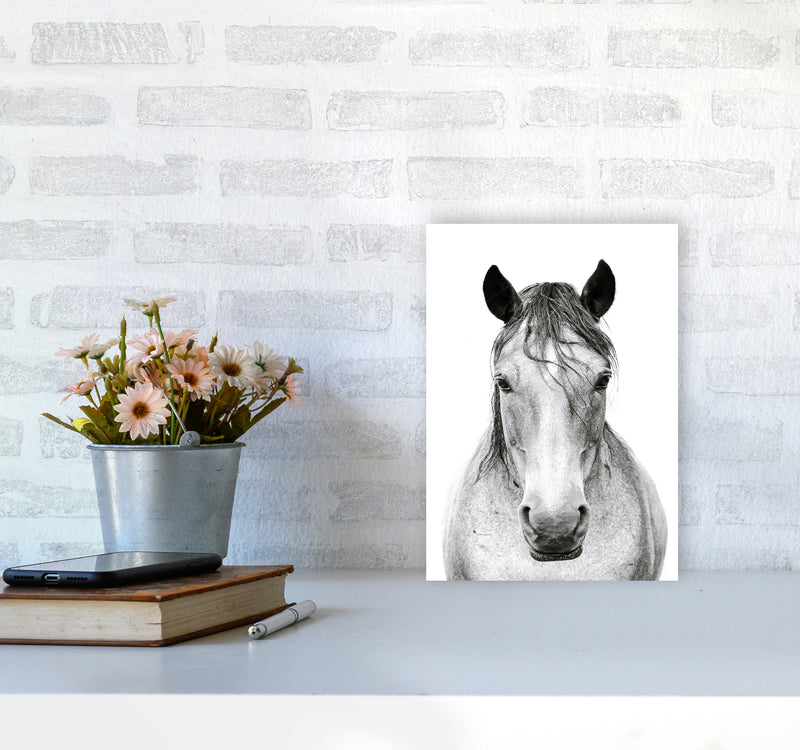 Horse I Photography Print by Victoria Frost A4 Black Frame
