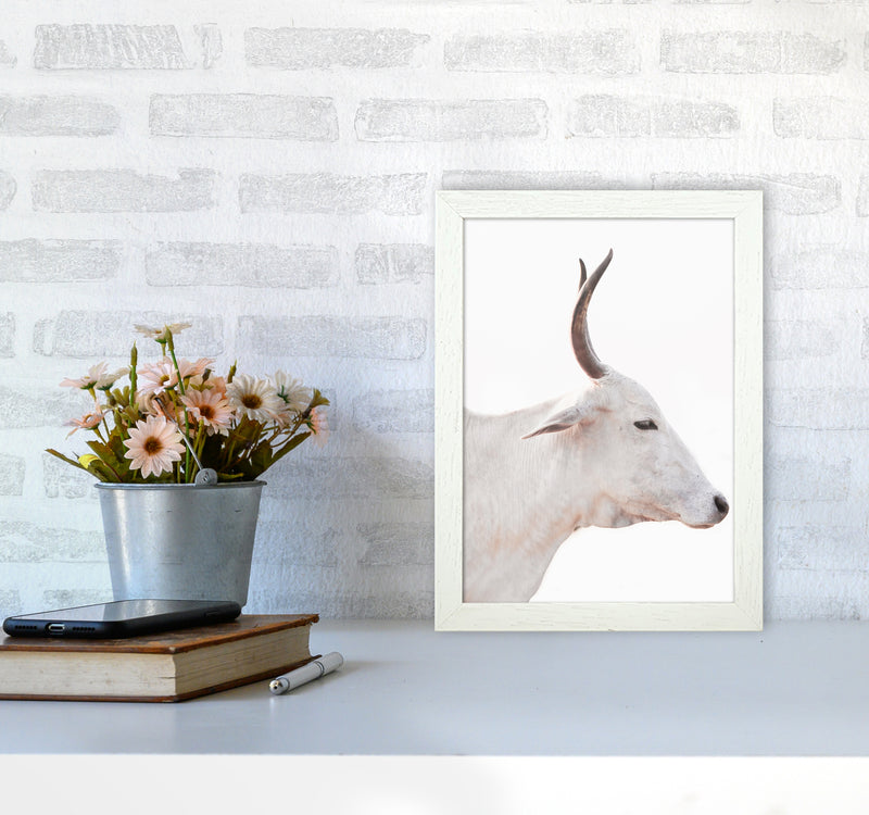 White Cow II Photography Print by Victoria Frost A4 Oak Frame