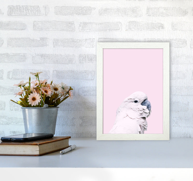 Pink Cockatoo Photography Print by Victoria Frost A4 Oak Frame
