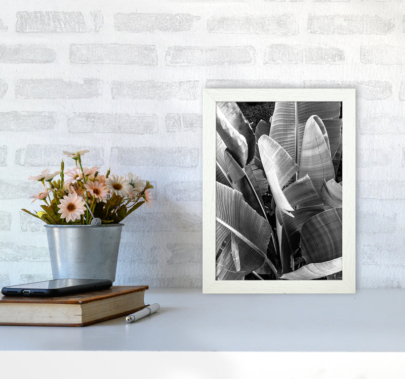 Palms Leafs Photography Print by Victoria Frost A4 Oak Frame