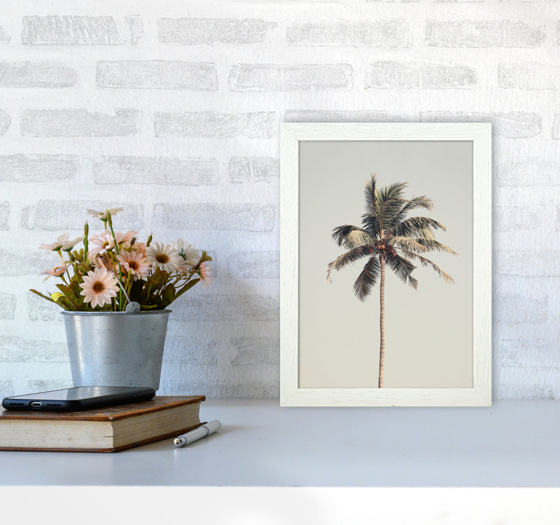 Palm tree by the beach Photography Print by Victoria Frost A4 Oak Frame