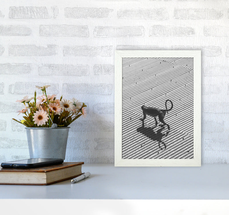 Monkey Buisness Photography Print by Victoria Frost A4 Oak Frame