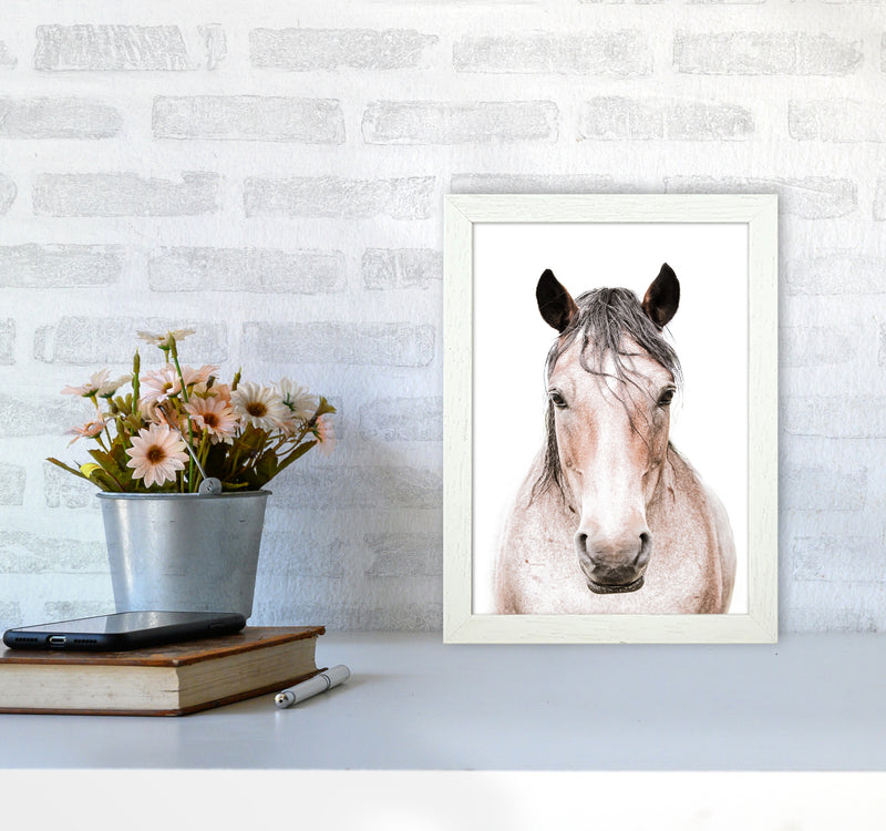 Horse Photography Print by Victoria Frost A4 Oak Frame