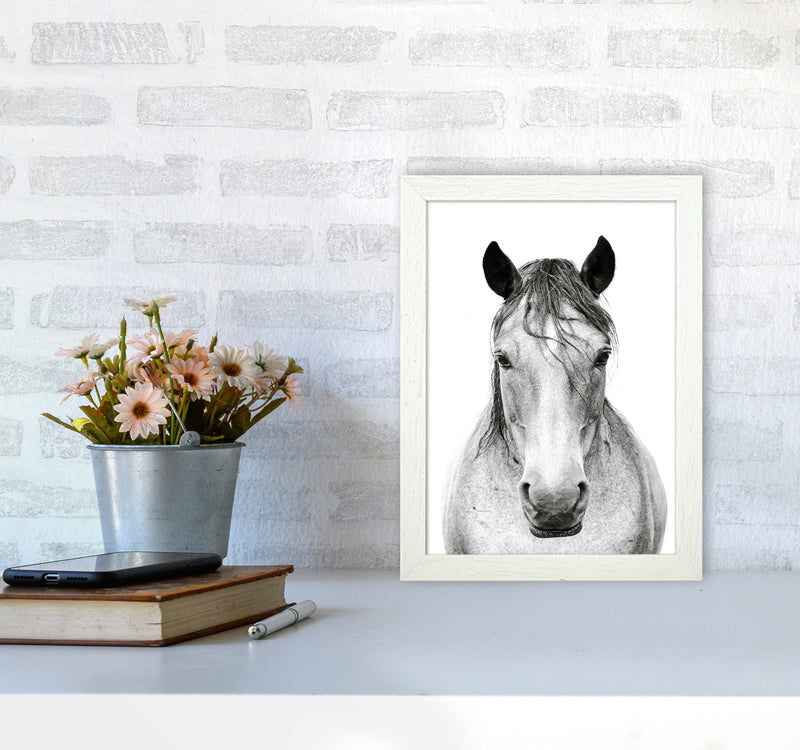 Horse I Photography Print by Victoria Frost A4 Oak Frame