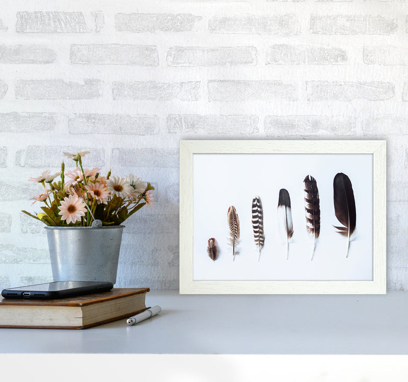 Feathers II Photography Print by Victoria Frost A4 Oak Frame