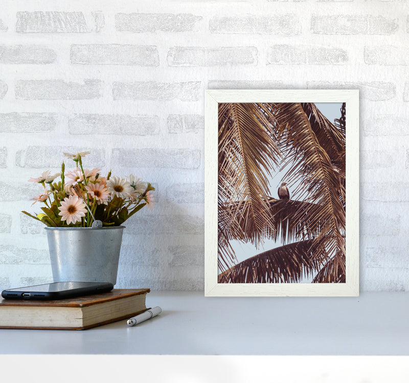 Eagle Photography Print by Victoria Frost A4 Oak Frame