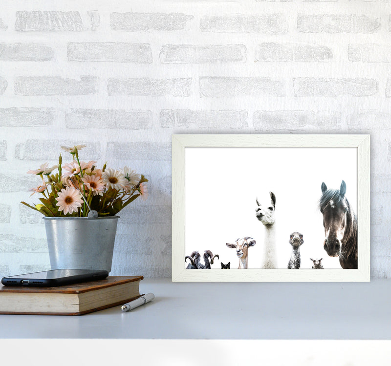 Animal Crew Photography Print by Victoria Frost A4 Oak Frame