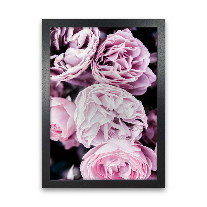 Pink Flowers I Photography Print by Victoria Frost Black Grain