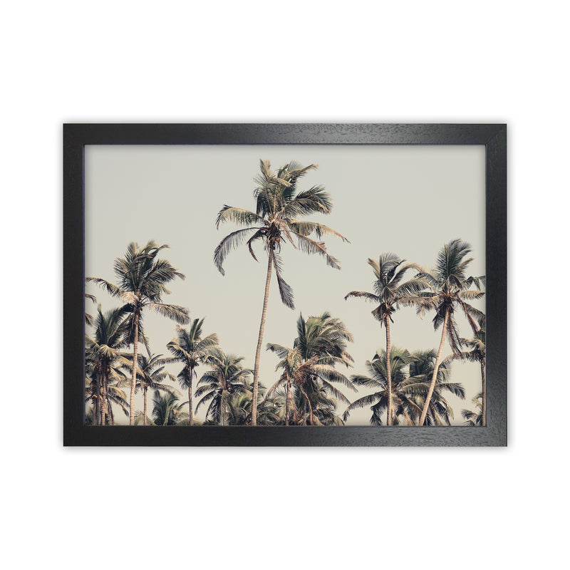 Palm Trees on the beach Photography Print by Victoria Frost Black Grain
