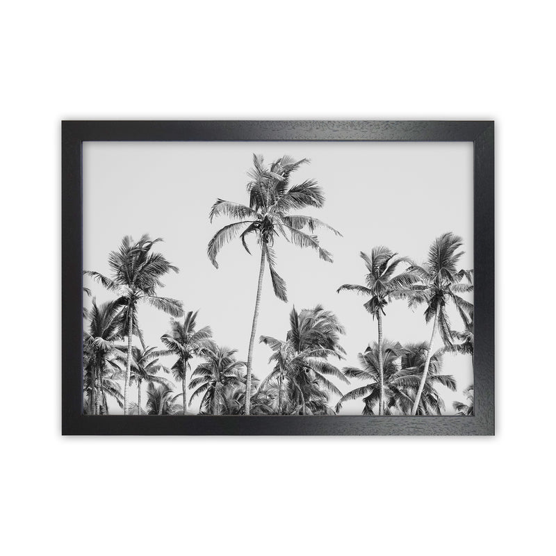 Palm Trees on the beach II Photography Print by Victoria Frost Black Grain