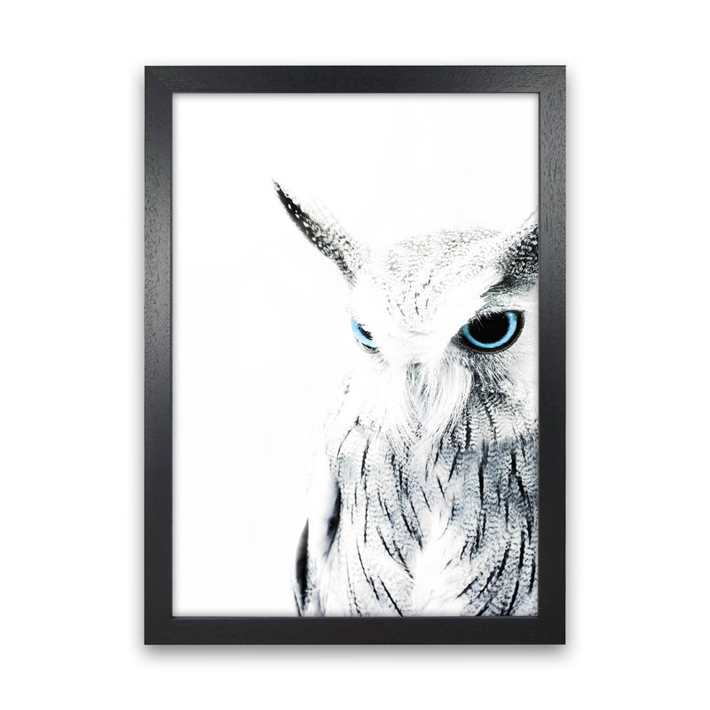 Owl I Photography Print by Victoria Frost Black Grain