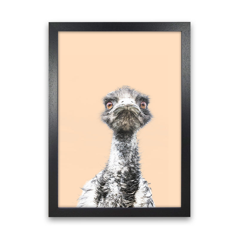 Orange Emu Photography Print by Victoria Frost Black Grain