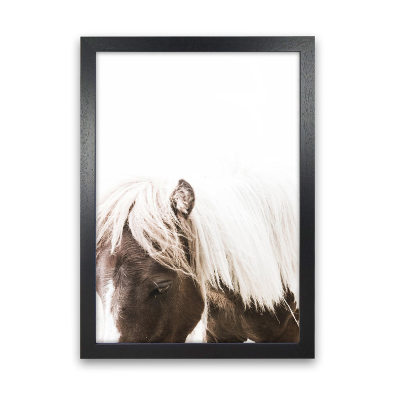 Horse III Photography Print by Victoria Frost Black Grain