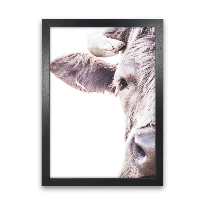 Highlander II Photography Print by Victoria Frost Black Grain