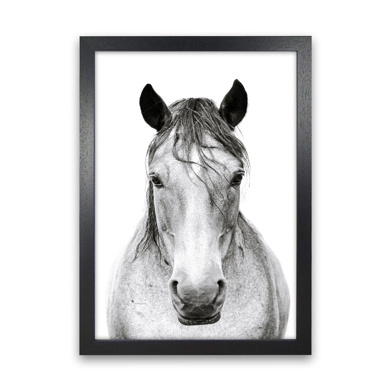 Horse I Photography Print by Victoria Frost Black Grain