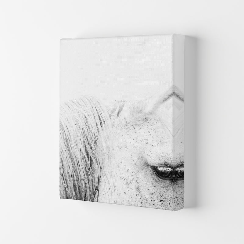 White Horse II Photography Print by Victoria Frost Canvas