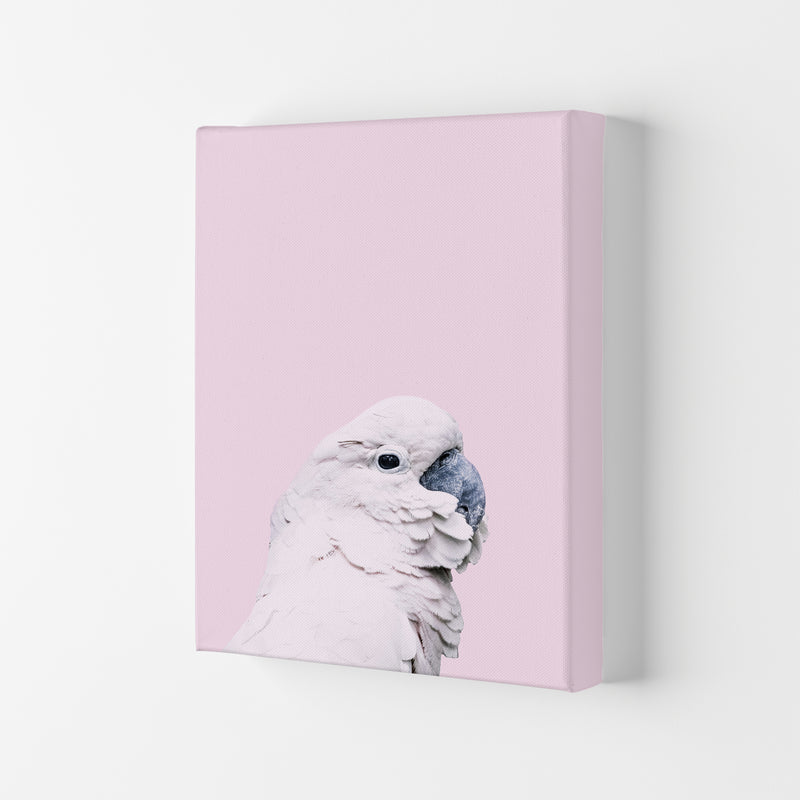 Pink Cockatoo Photography Print by Victoria Frost Canvas