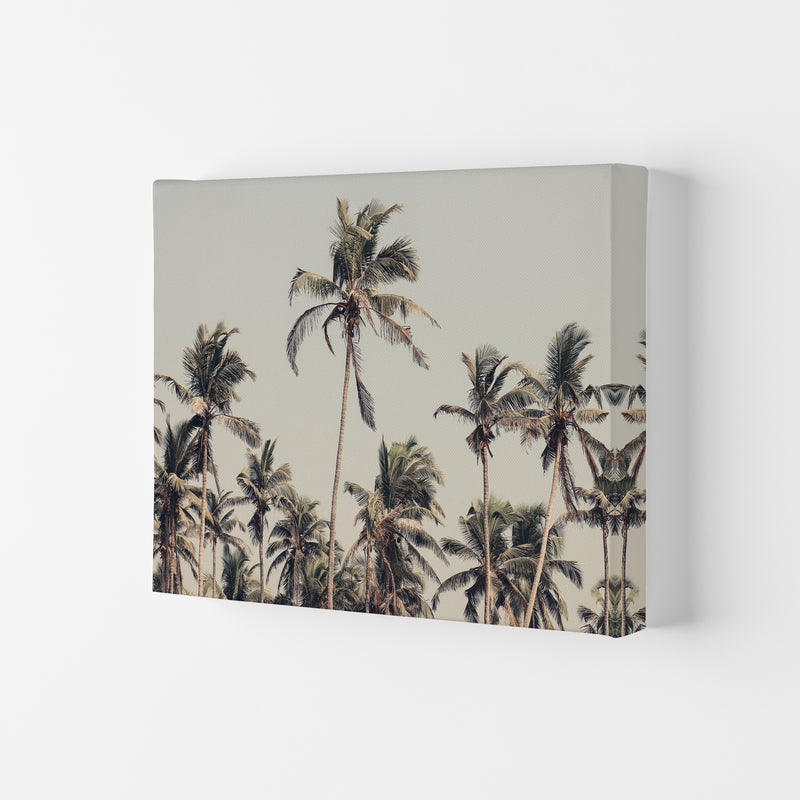 Palm Trees on the beach Photography Print by Victoria Frost Canvas