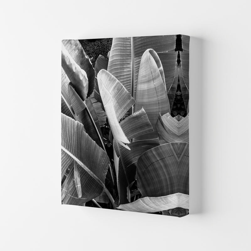 Palms Leafs Photography Print by Victoria Frost Canvas