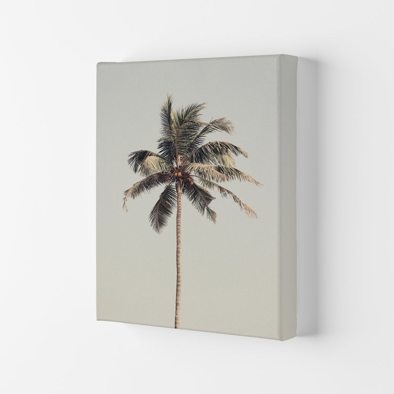 Palm tree by the beach Photography Print by Victoria Frost Canvas