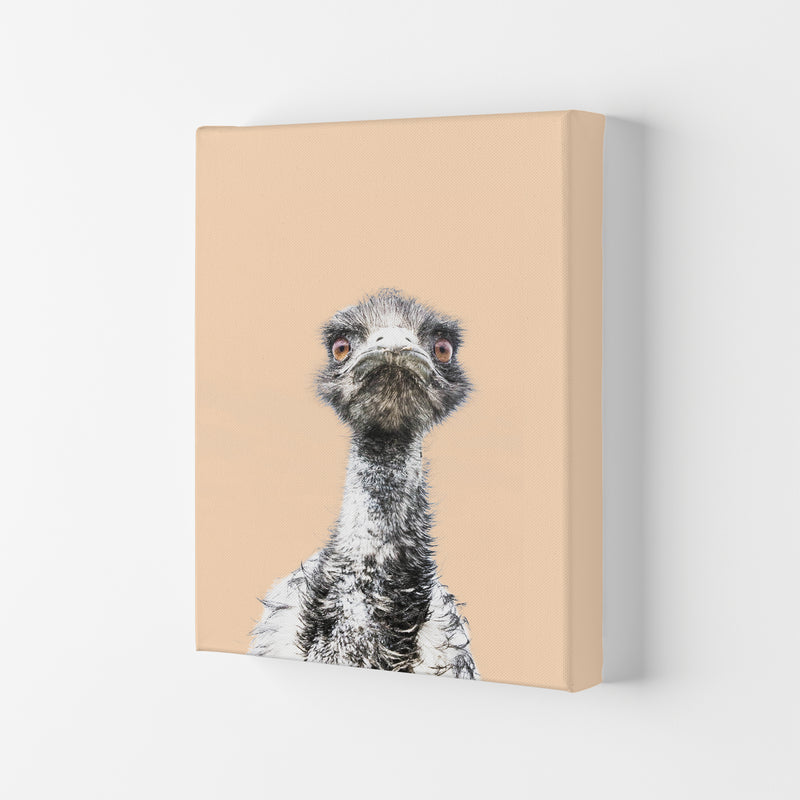 Orange Emu Photography Print by Victoria Frost Canvas