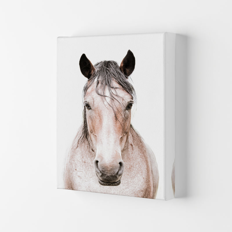 Horse Photography Print by Victoria Frost Canvas