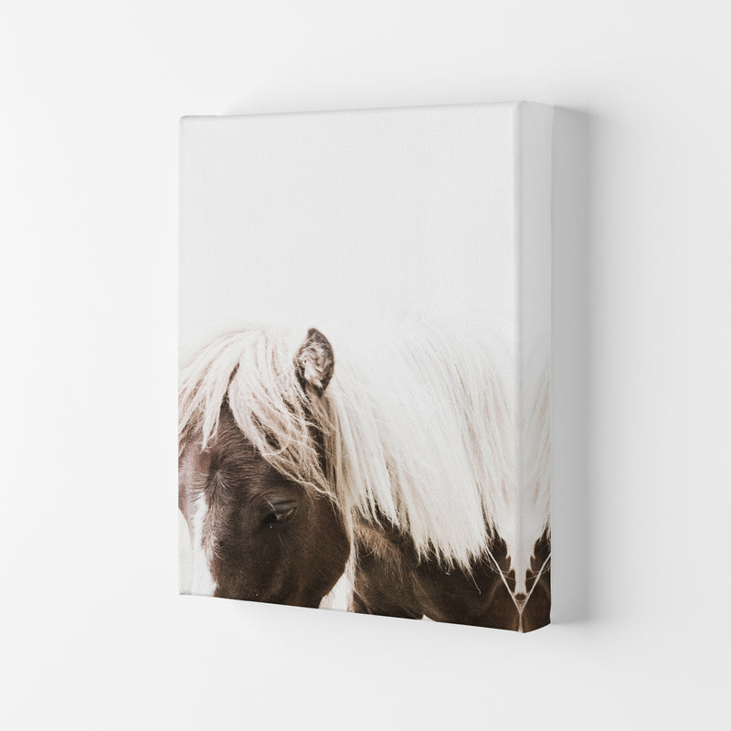 Horse III Photography Print by Victoria Frost Canvas
