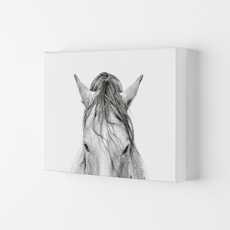 Horse II Photography Print by Victoria Frost Canvas