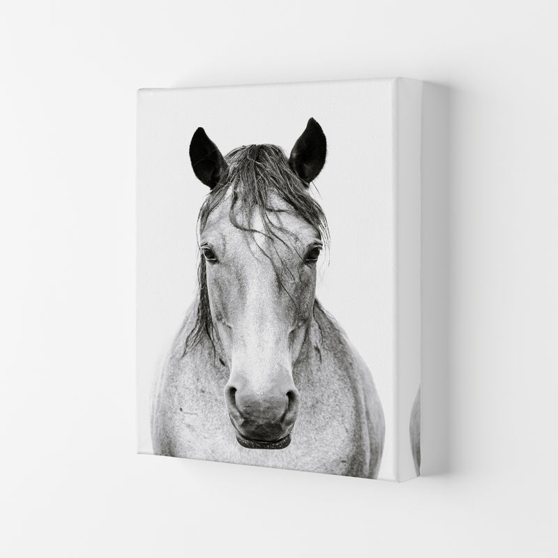 Horse I Photography Print by Victoria Frost Canvas