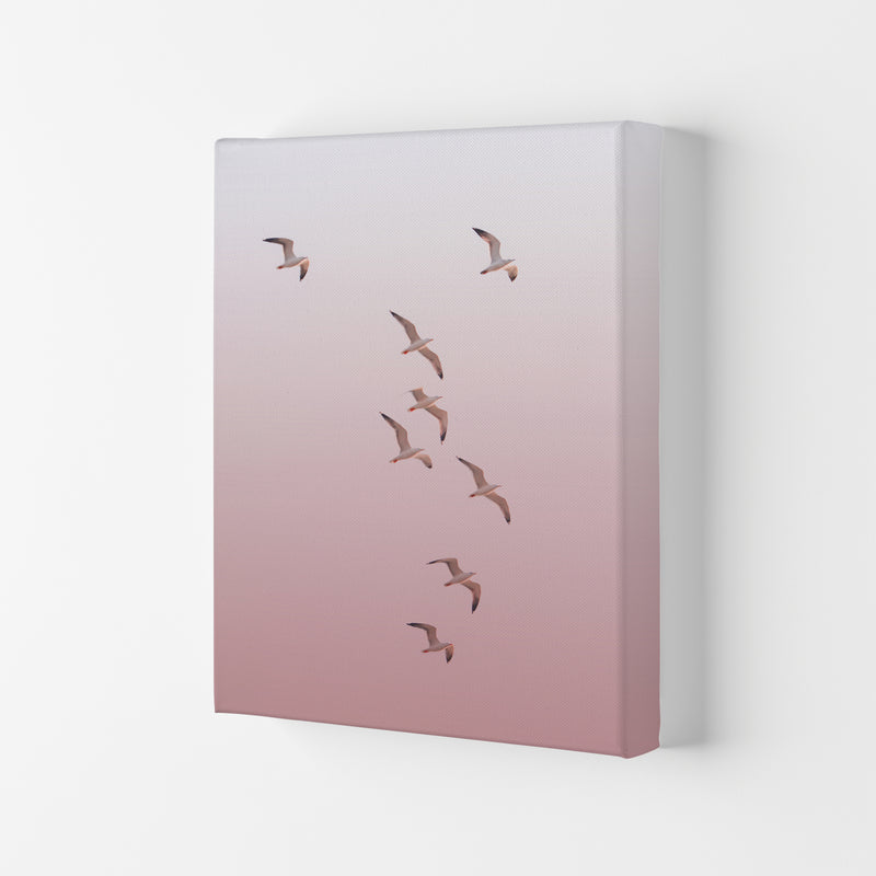 Birds in the Sky-pink Photography Print by Victoria Frost Canvas