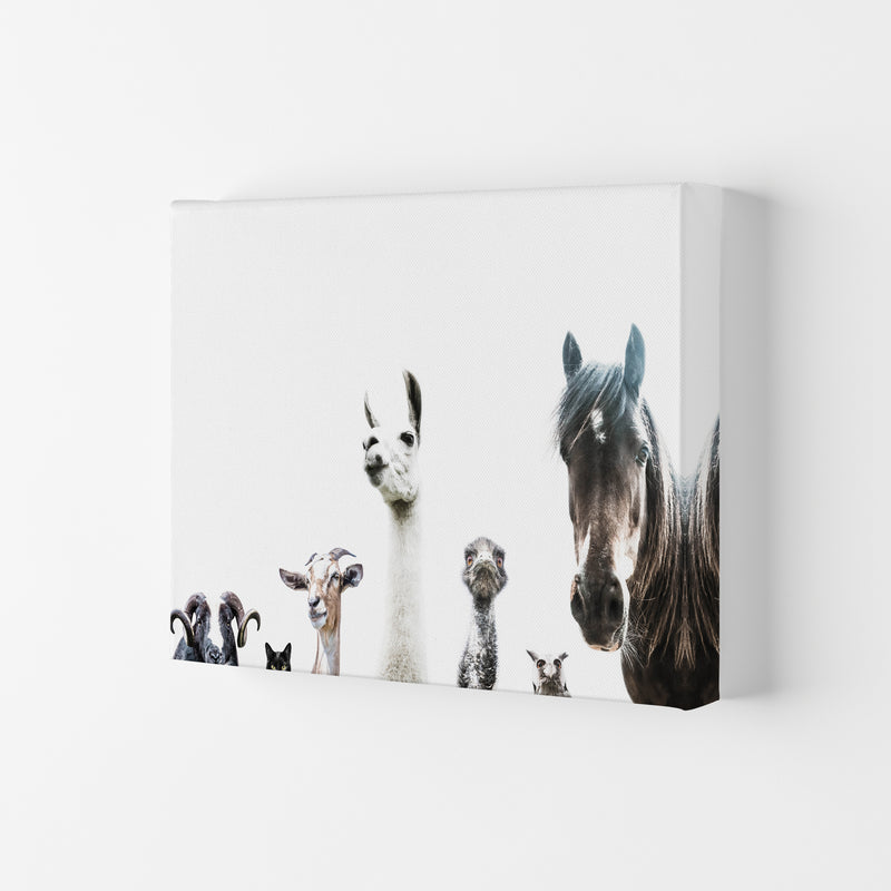 Animal Crew Photography Print by Victoria Frost Canvas