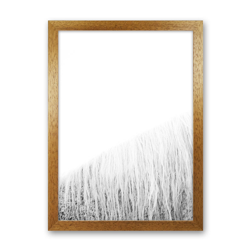 White Horse I Photography Print by Victoria Frost Oak Grain