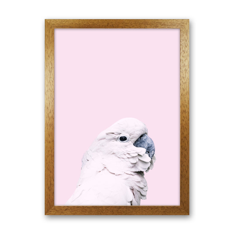Pink Cockatoo Photography Print by Victoria Frost Oak Grain