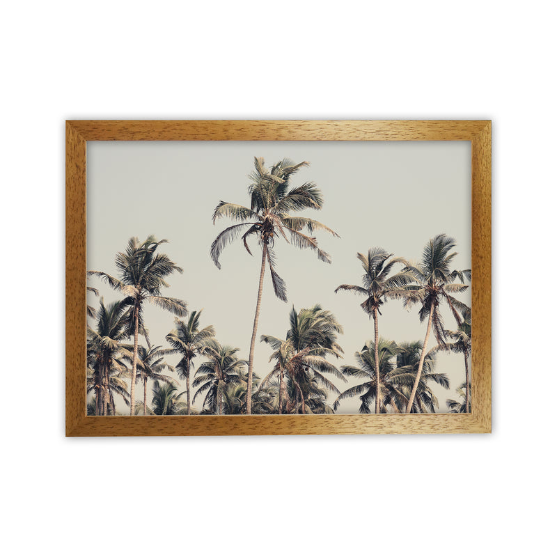 Palm Trees on the beach Photography Print by Victoria Frost Oak Grain
