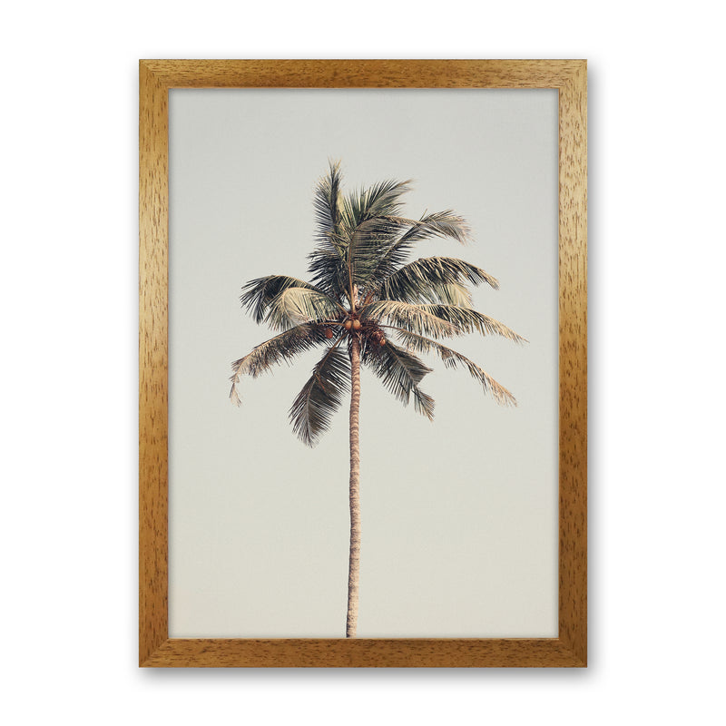 Palm tree by the beach Photography Print by Victoria Frost Oak Grain