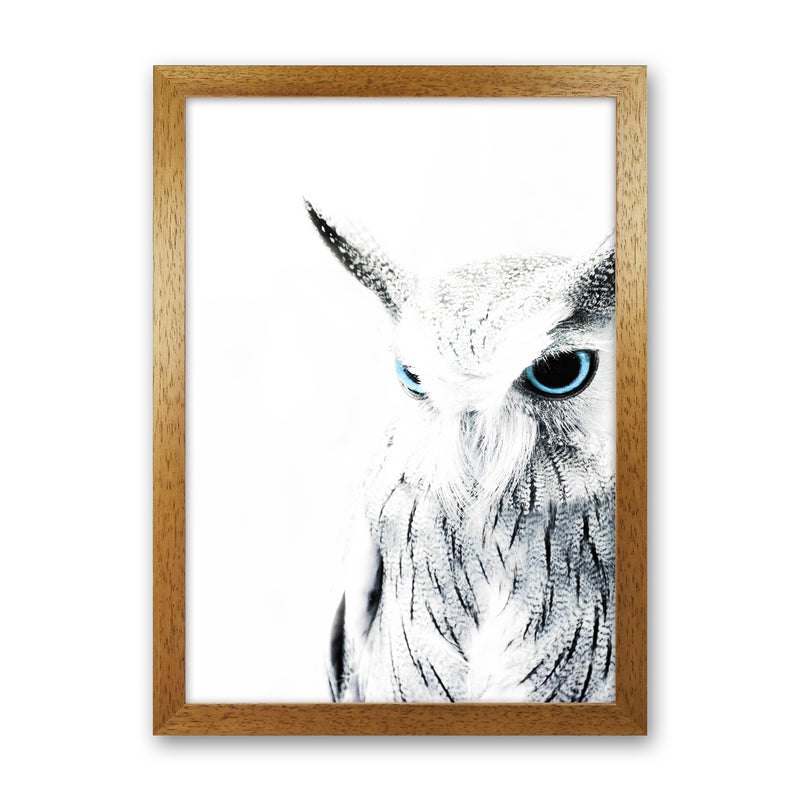 Owl I Photography Print by Victoria Frost Oak Grain