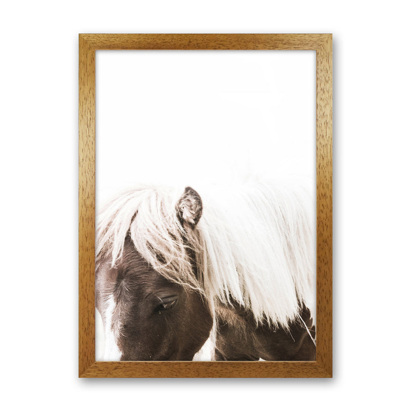 Horse III Photography Print by Victoria Frost Oak Grain