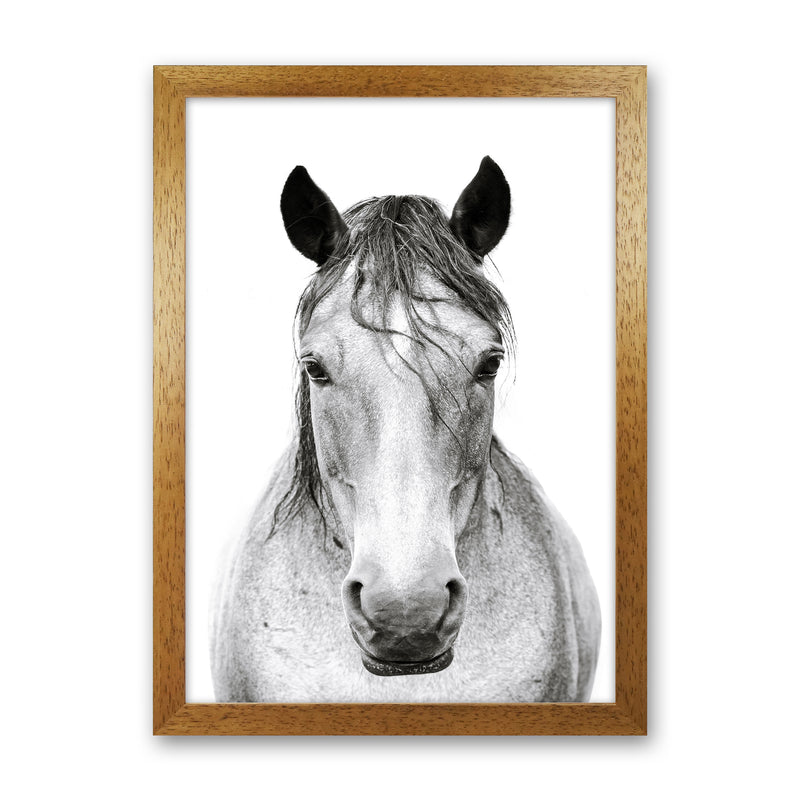 Horse I Photography Print by Victoria Frost Oak Grain