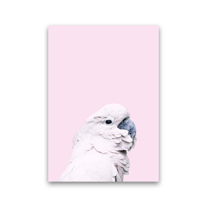 Pink Cockatoo Photography Print by Victoria Frost Print Only