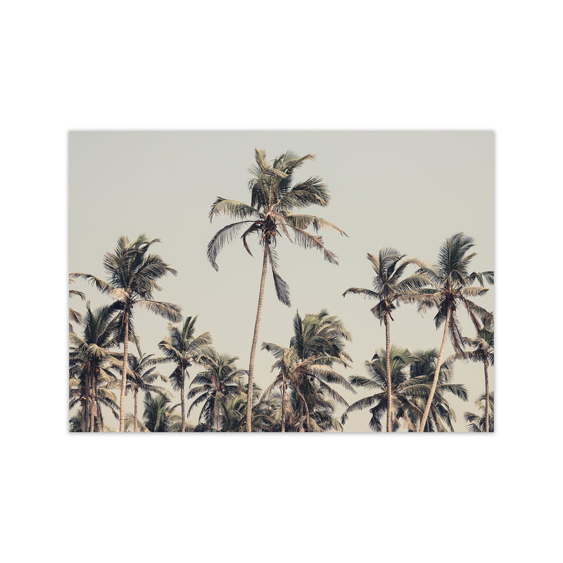 Palm Trees on the beach Photography Print by Victoria Frost Print Only