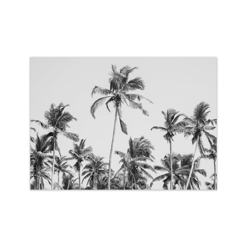 Palm Trees on the beach II Photography Print by Victoria Frost Print Only