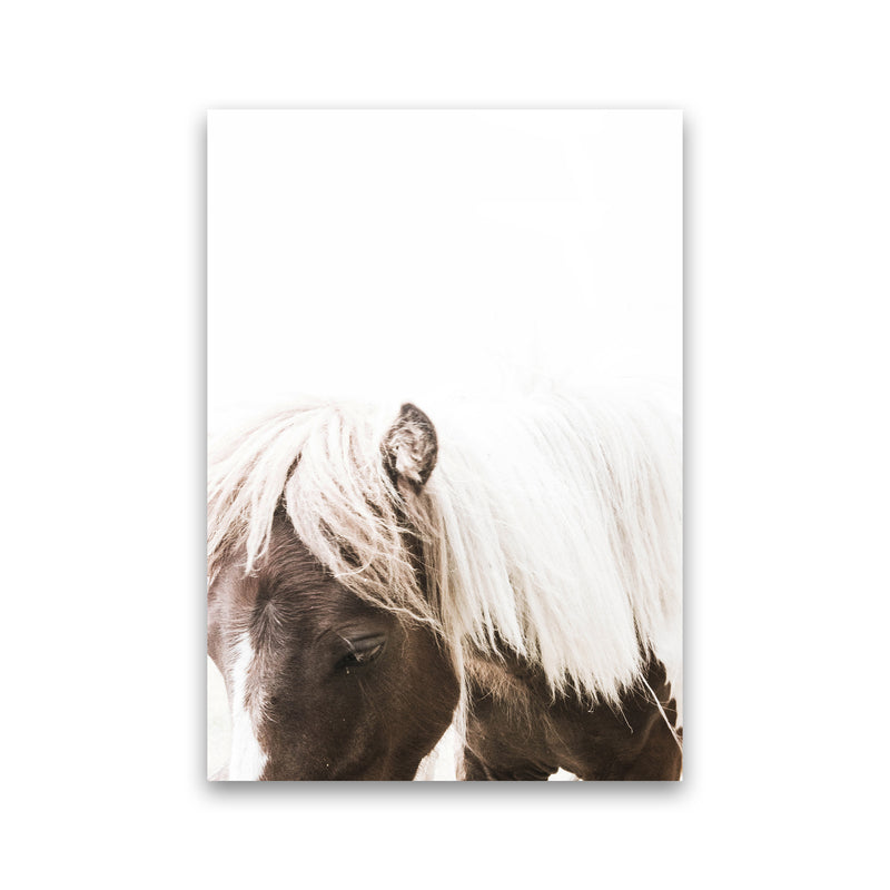 Horse III Photography Print by Victoria Frost Print Only