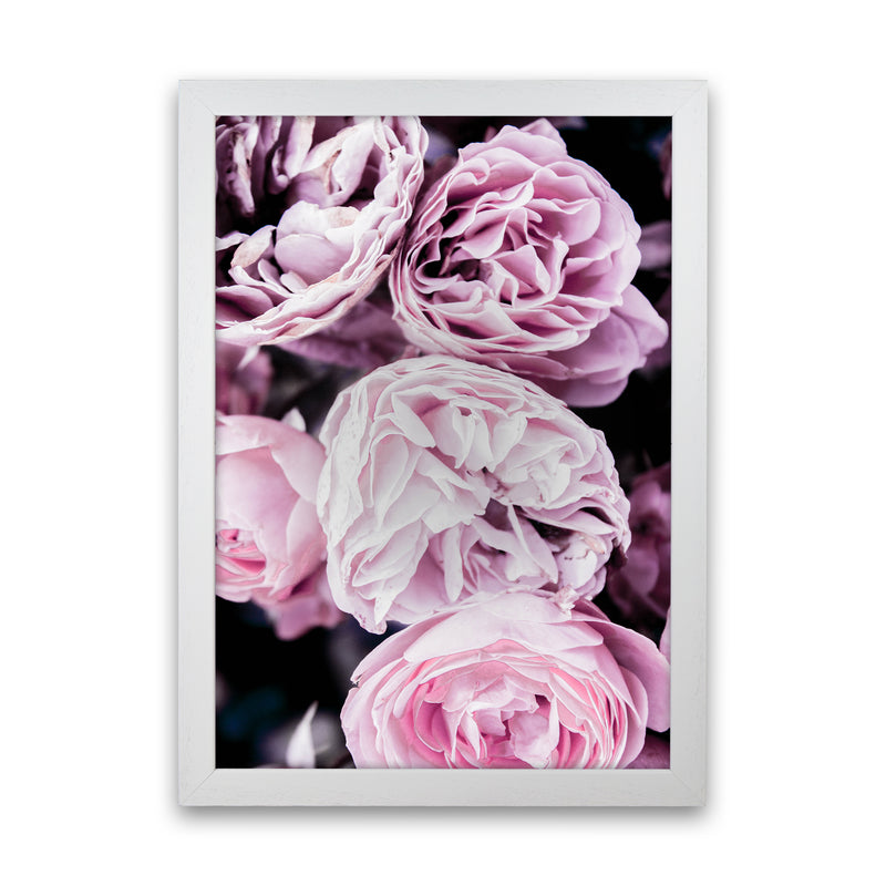 Pink Flowers I Photography Print by Victoria Frost White Grain