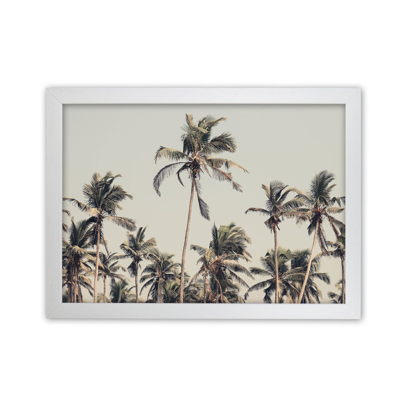 Palm Trees on the beach Photography Print by Victoria Frost White Grain