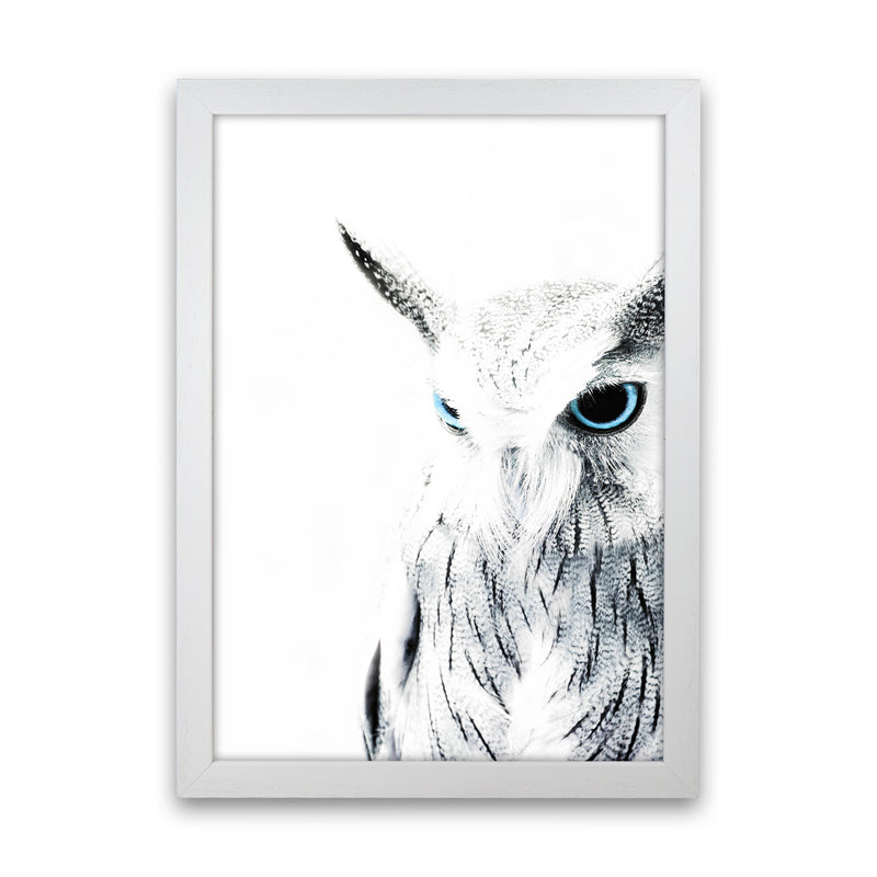 Owl I Photography Print by Victoria Frost White Grain
