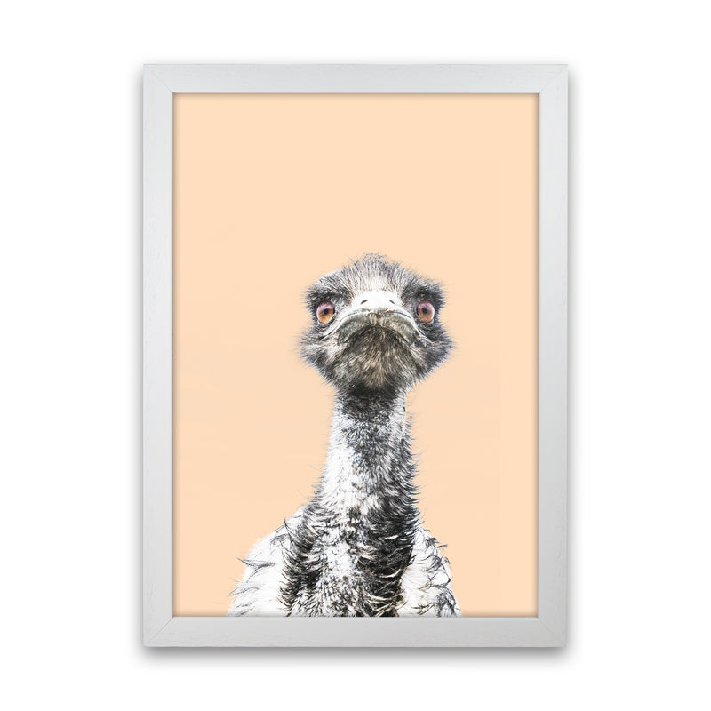 Orange Emu Photography Print by Victoria Frost White Grain