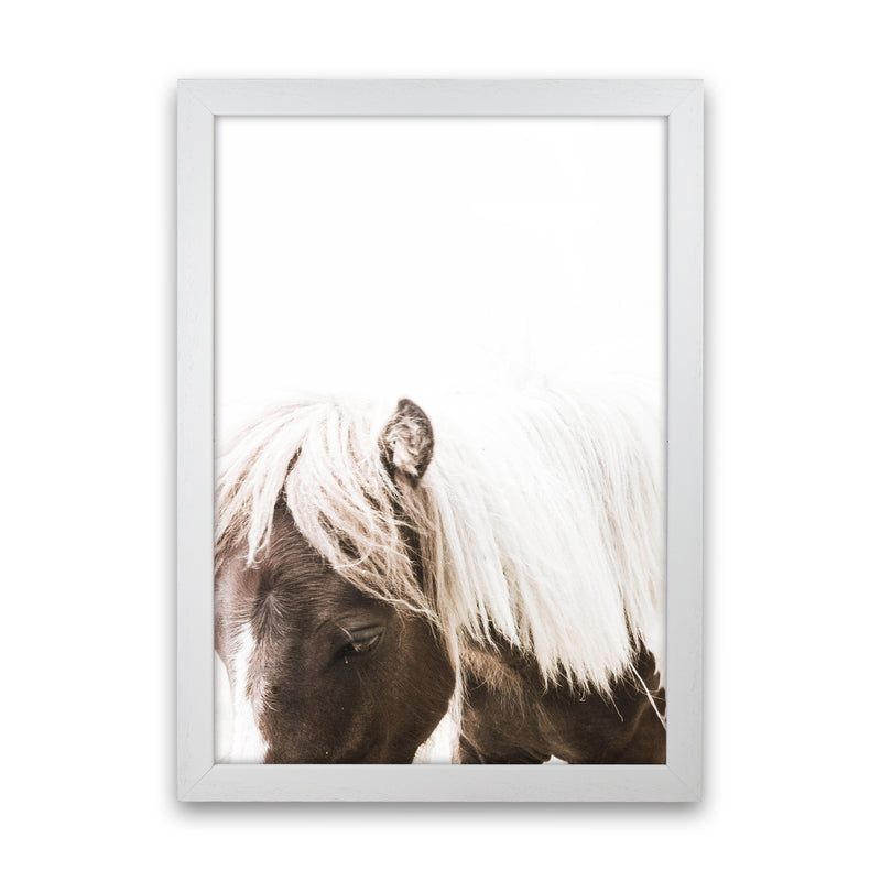Horse III Photography Print by Victoria Frost White Grain
